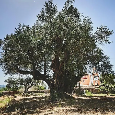 Apartamento The Guund House