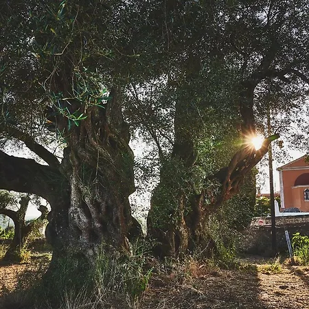 Apartman The Guund House *