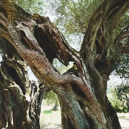 The Guund House Διαμέρισμα Ξανθάτες