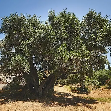 The Guund House Appartement *