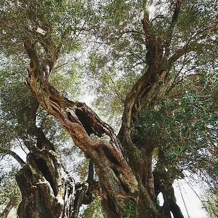 The Guund House Appartement